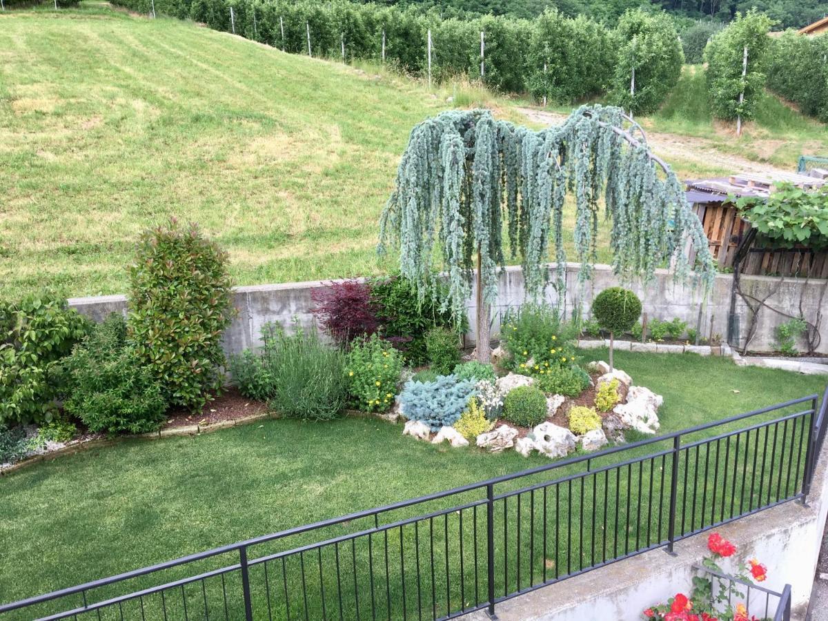 Mansarda Con Giardino Val Di Sole Trentino Apartment Terzolas Bagian luar foto